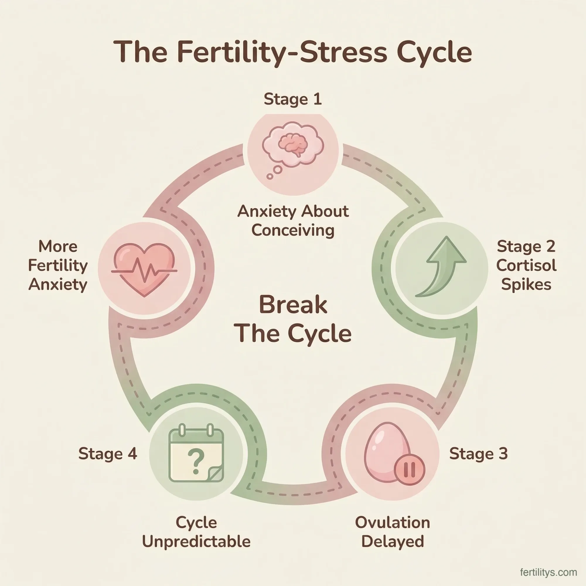 Botanical watercolour infographic showing the fertility-stress vicious cycle and how to break it