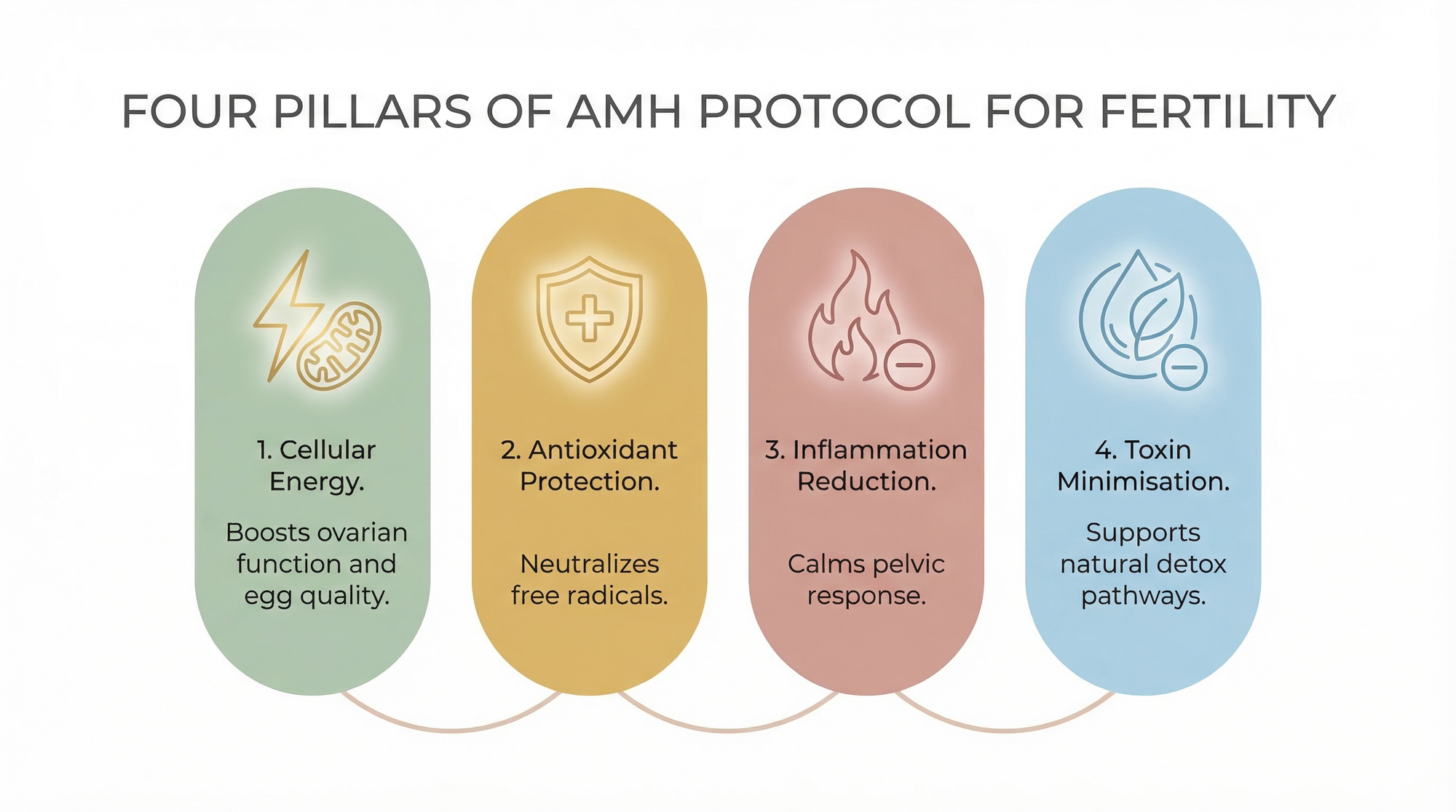 Infographic showing Danielle's four-pillar AMH protocol: cellular energy, antioxidant protection, inflammation reduction, and toxin minimisation
